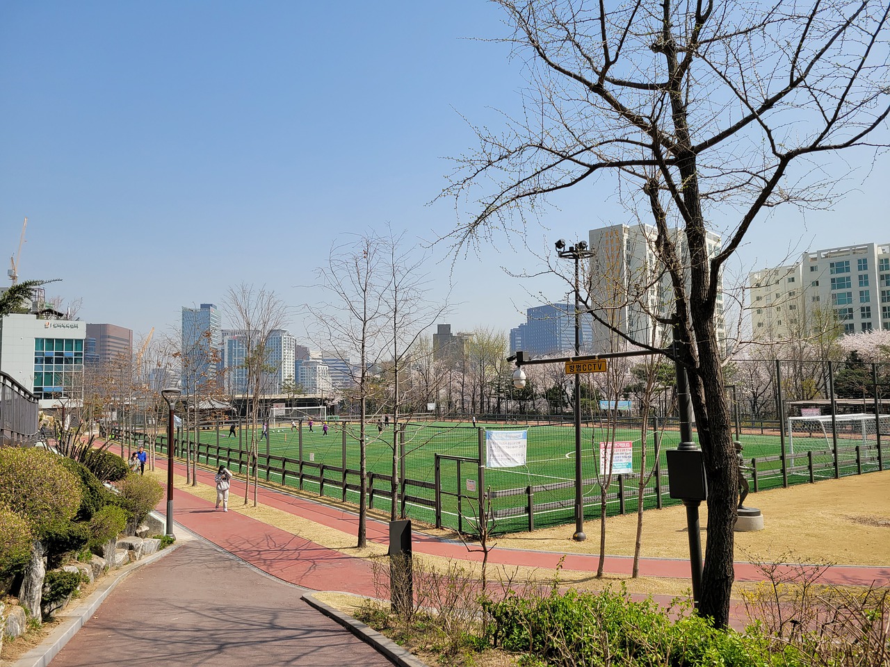 在德甲戰場