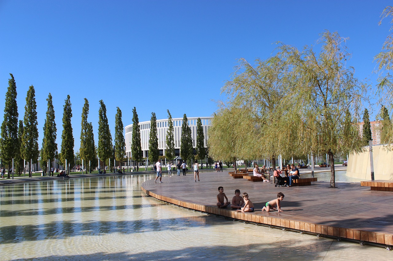 在这场国际 在这场国际