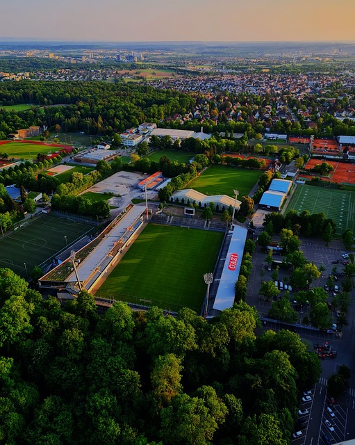 以及两大遗 以及两大遗