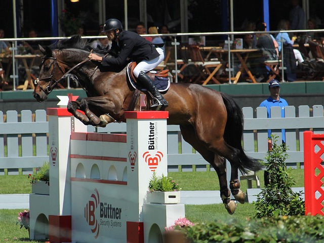 提高他们在 提高他们在