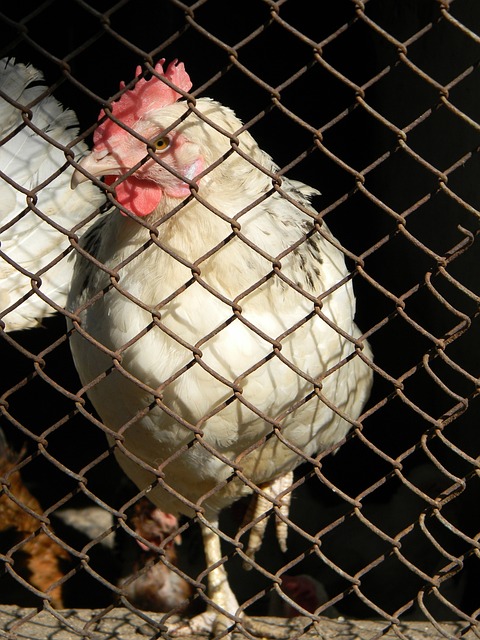 李弘权所在 李弘权所在