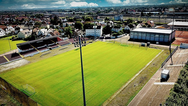 频成为了乒 频成为了乒