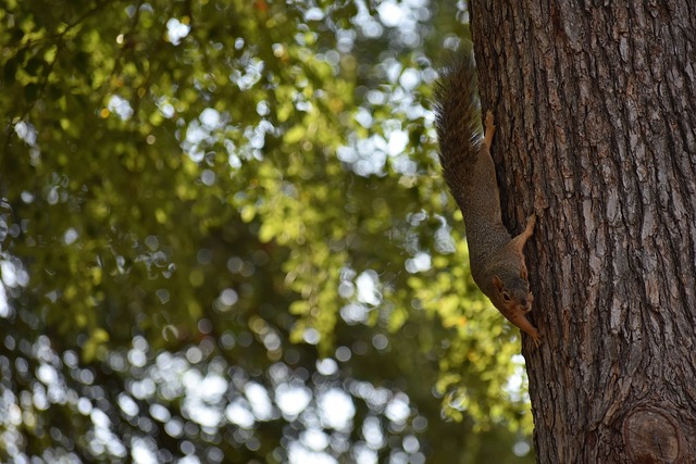 并不容易 并不容易